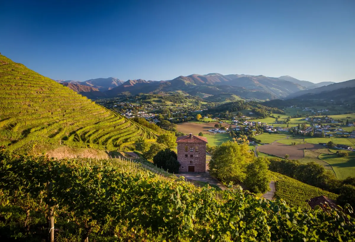 Visite du Vignoble Brana et dégustation