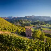 Visite du Vignoble Brana et dégustation