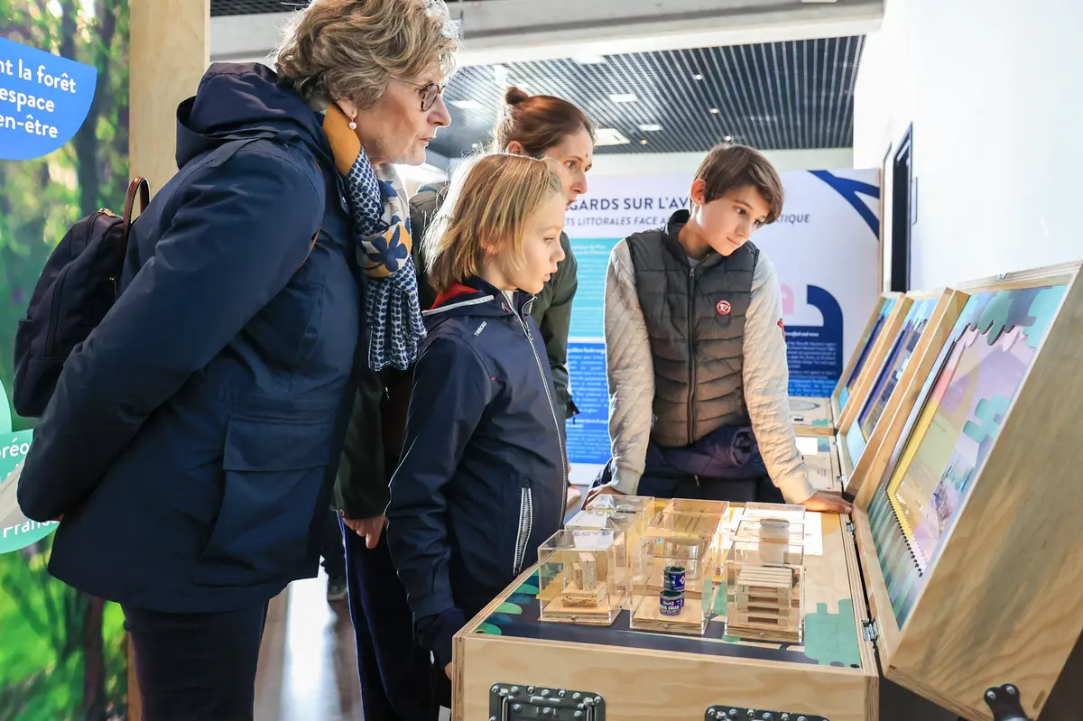 Visite en accès libre de l'exposition Dunes et forêts, les gardiennes du littoral