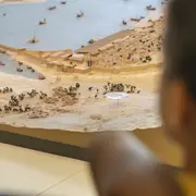 Visite en famille Les petits Massaliotes au musée 