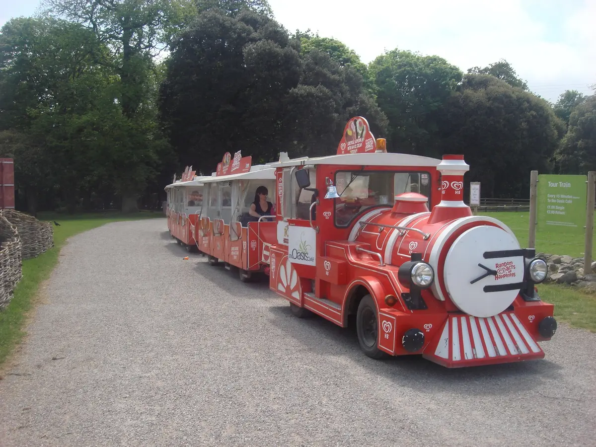 Visite en petit train - Biennale d'art contemporain