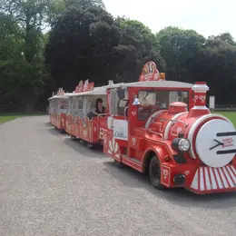 Visite en petit train - Biennale d'art contemporain