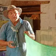 Visite & atelier de teinture végétale à Cambounet-Sur-Le Sor