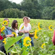 Visite et Atelier : Découvrez les plantes médicinales et fabriquez votre savon