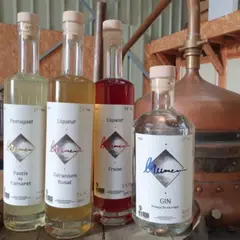 Visite et création de pastis bio dans une distillerie à Camaret-sur-Mer (29)