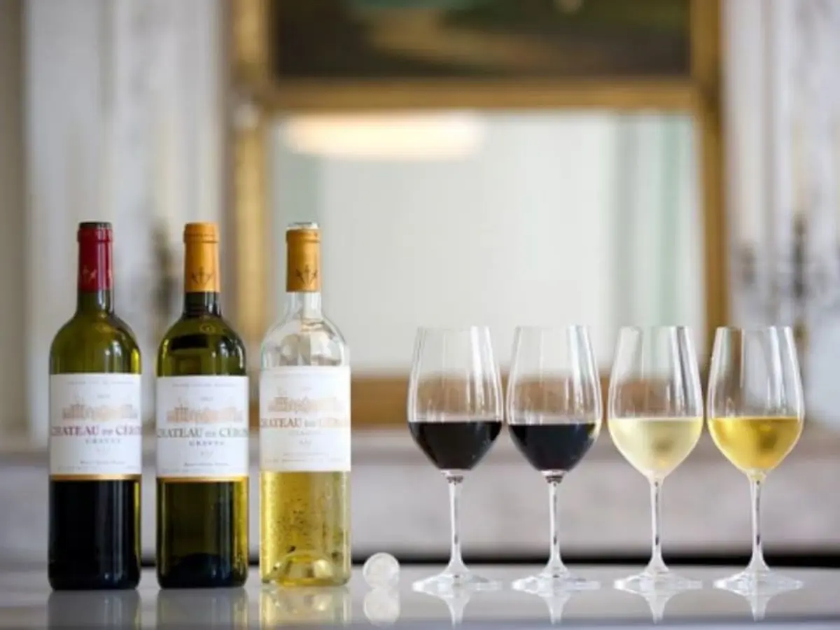 Visite et découverte - Le voyage de Cérons  (33)