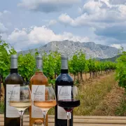 Visite et dégustation au Château Henri Bonnaud