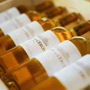 Visite et dégustation - Au fil du temps à Cérons (33)