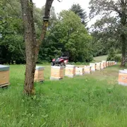 Visite et dégustation au Rucher de la Vauzelle