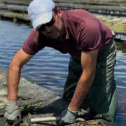 Visite & dégustation d'huîtres à La Couarde-sur-Mer (17)