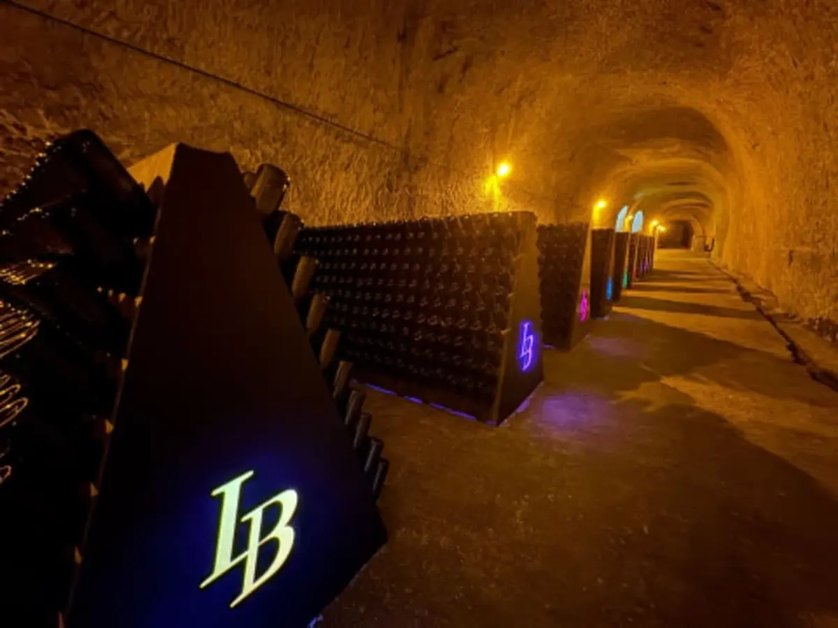Visite & dégustation de 3 Champagnes à Châlons-en-Champagne