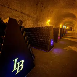 Envie de bouger à Châlons-en-Champagne ce week-end (17-19 juillet 2026) ? Voici 5 idées de sorties