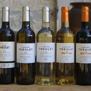 Visite et dégustation de 7 vins - 10h | Vignobles Alard