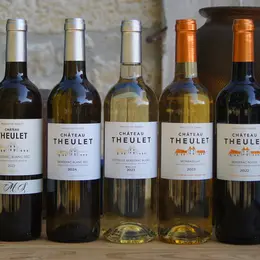 Visite et dégustation de 7 vins - 16h | Vignobles Alard