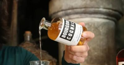 Visite et d&eacute;gustation de Cognac &agrave; Saint-Saturnin (16)