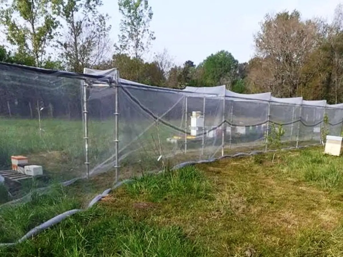Visite et dégustation de miel - Ô Temps des Abeilles
