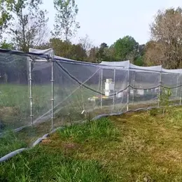 Visite et dégustation de miel - Ô Temps des Abeilles