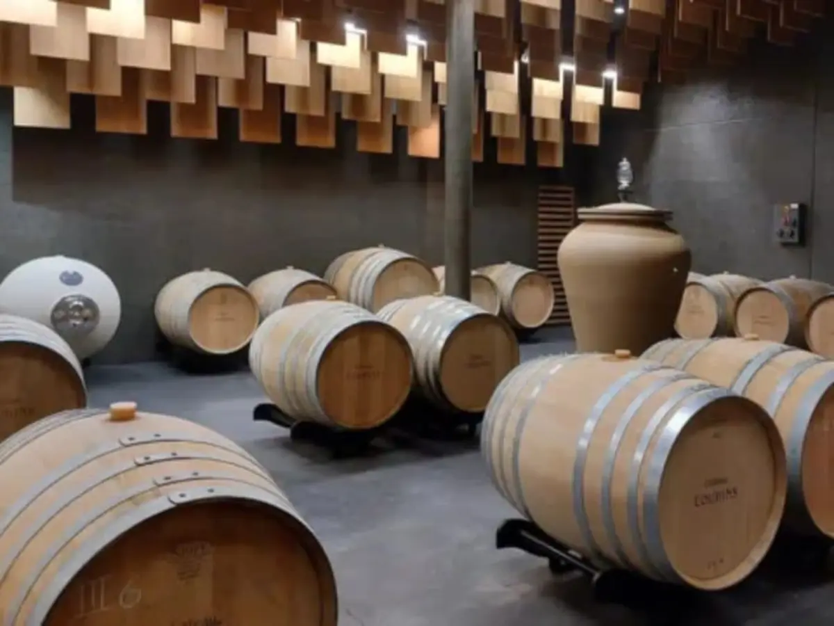 Visite et dégustation de millésimes à Villenave-d'Ornon (33)