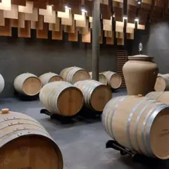 Visite et dégustation de millésimes à Villenave-d'Ornon (33)