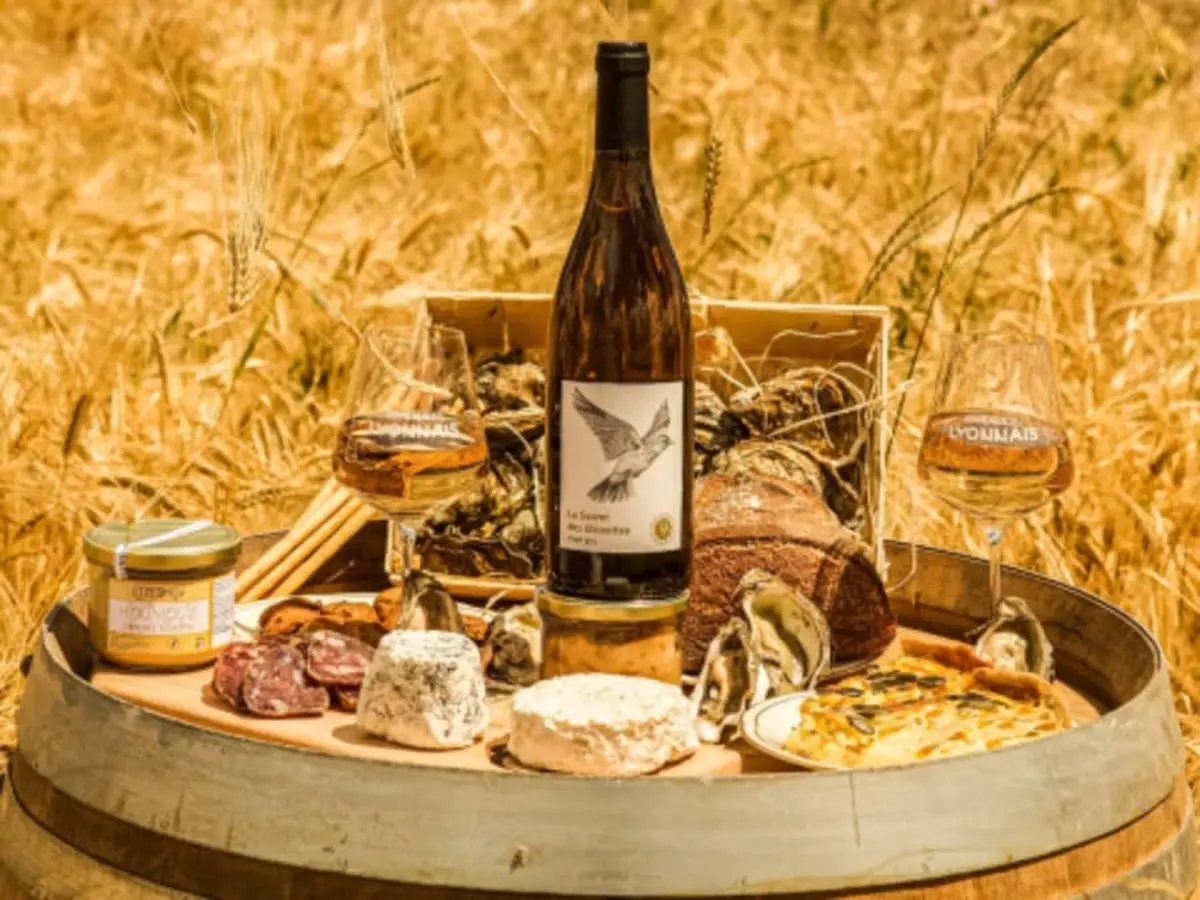 Visite et dégustation de vins à Taluyers (69)