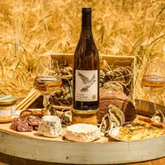 Visite et dégustation de vins à Taluyers (69)