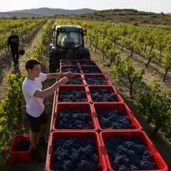 Visite & dégustation de vins au domaine de la Selve (07)