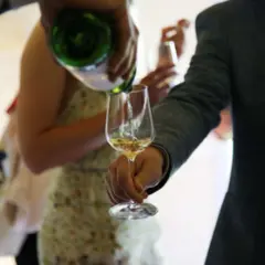 Visite et dégustation de vins bios à Bordeaux (33)