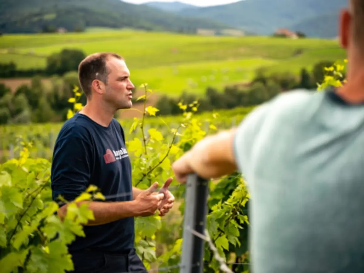 Visite & dégustation de vins du domaine à Lantignié (69)
