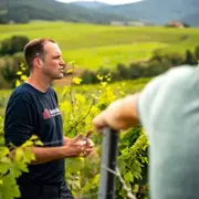 Visite & dégustation de vins du domaine à Lantignié (69)