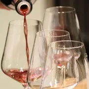 Visite & dégustation de vins en Côte de Beaune (21)