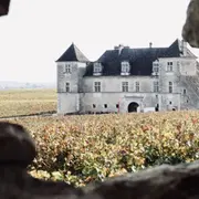 Visite & dégustation de vins en Côte de Nuit (21)