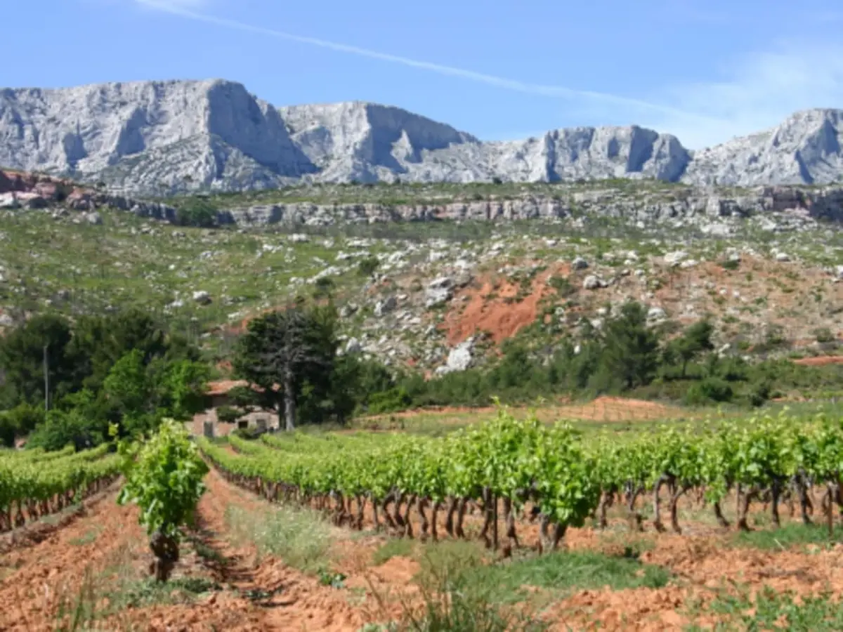Visite et dégustation du domaine à Rousset (13)