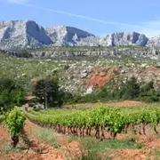 Visite et dégustation du domaine à Rousset (13)