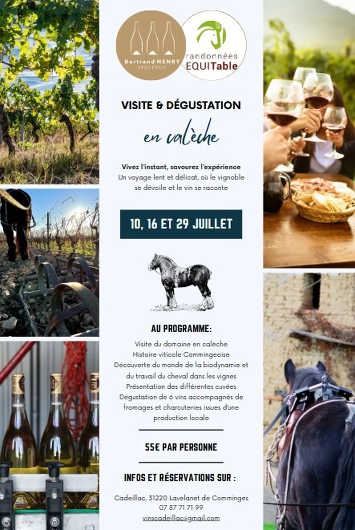 Visite & Dégustation En Calèche