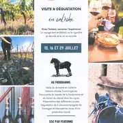 Visite Et Dégustation En Calèche