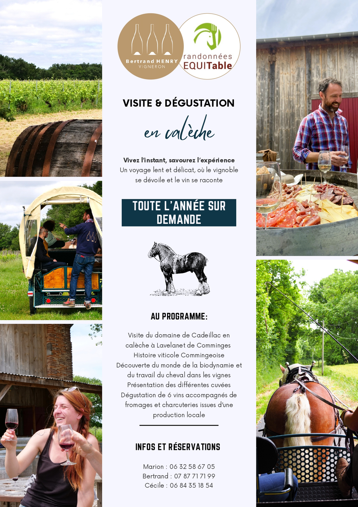 Visite Et Dégustation En Calèche Au Domaine Cadeillac