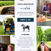 Visite Et Dégustation En Calèche Au Domaine Cadeillac