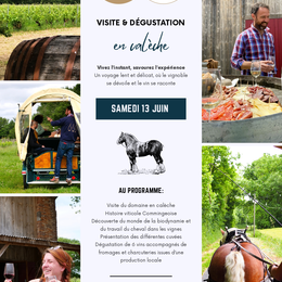 Visite Et Dégustation En Calèche Au Domaine Cadeillac