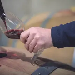 Visite & Dégustation – secrets des vins en élevage à Illats (33)