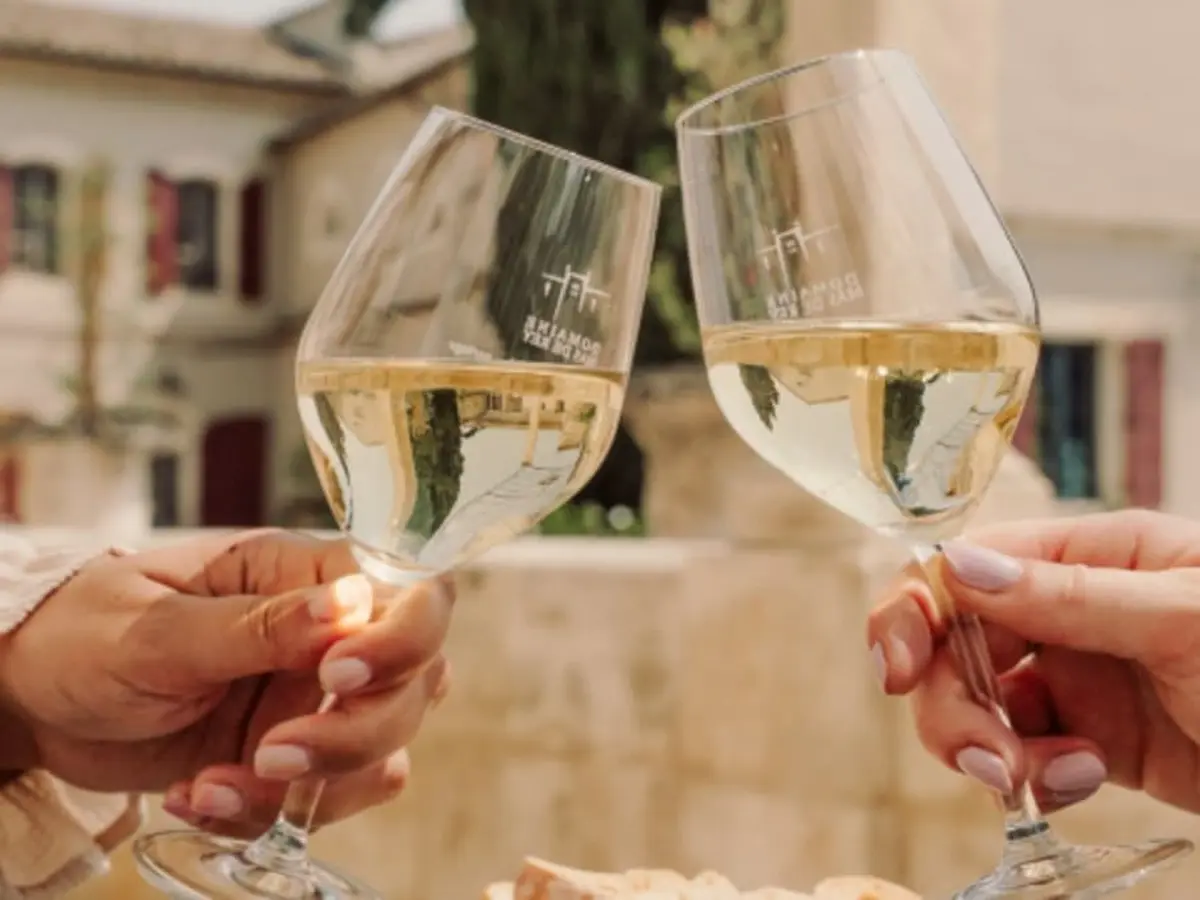 Visite et dégustations de vins à Arles (13)