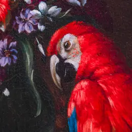 Visite éveil Gaio, le perroquet haut en couleurs