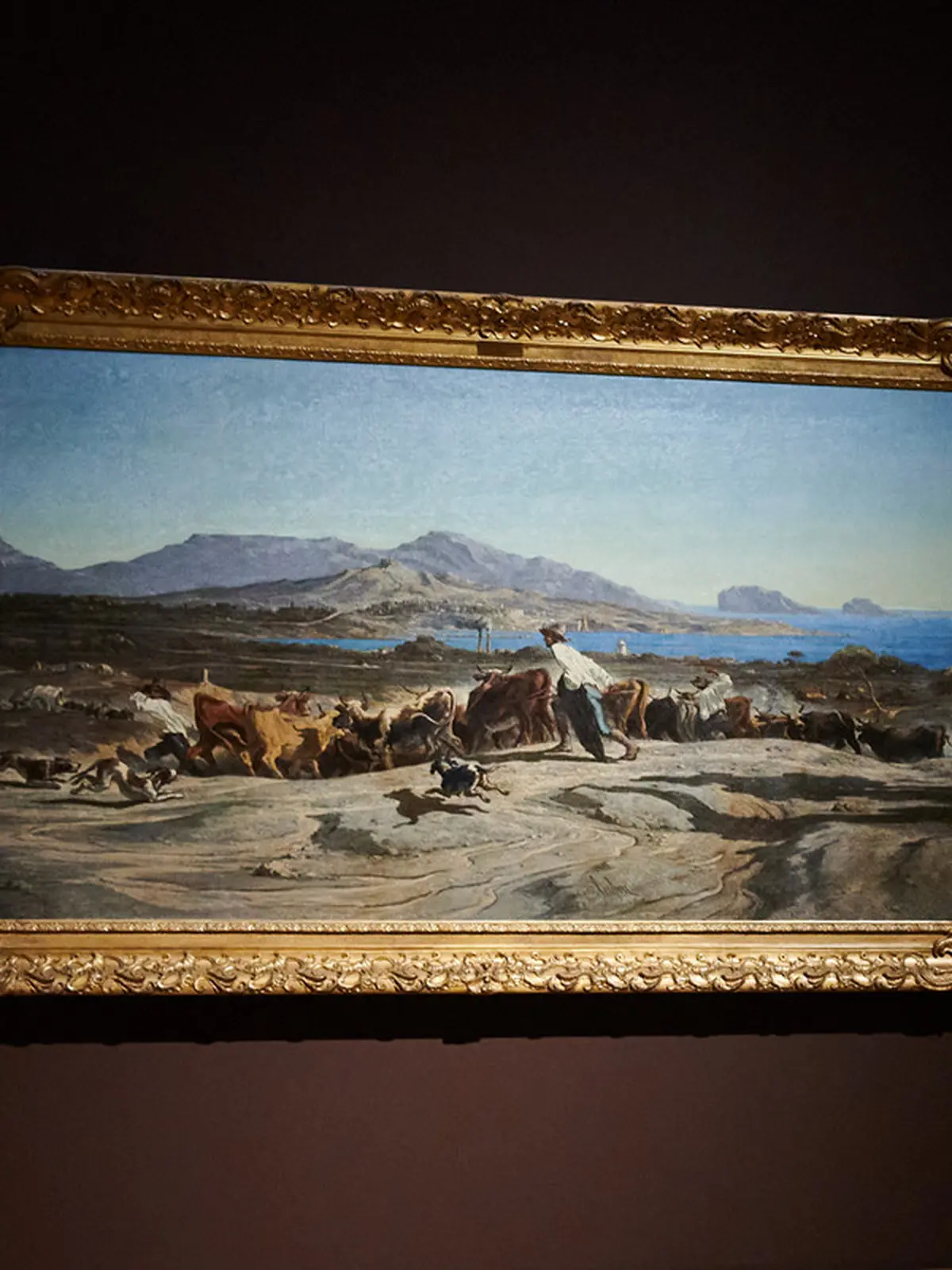 Visite éveil Les sens en Provence