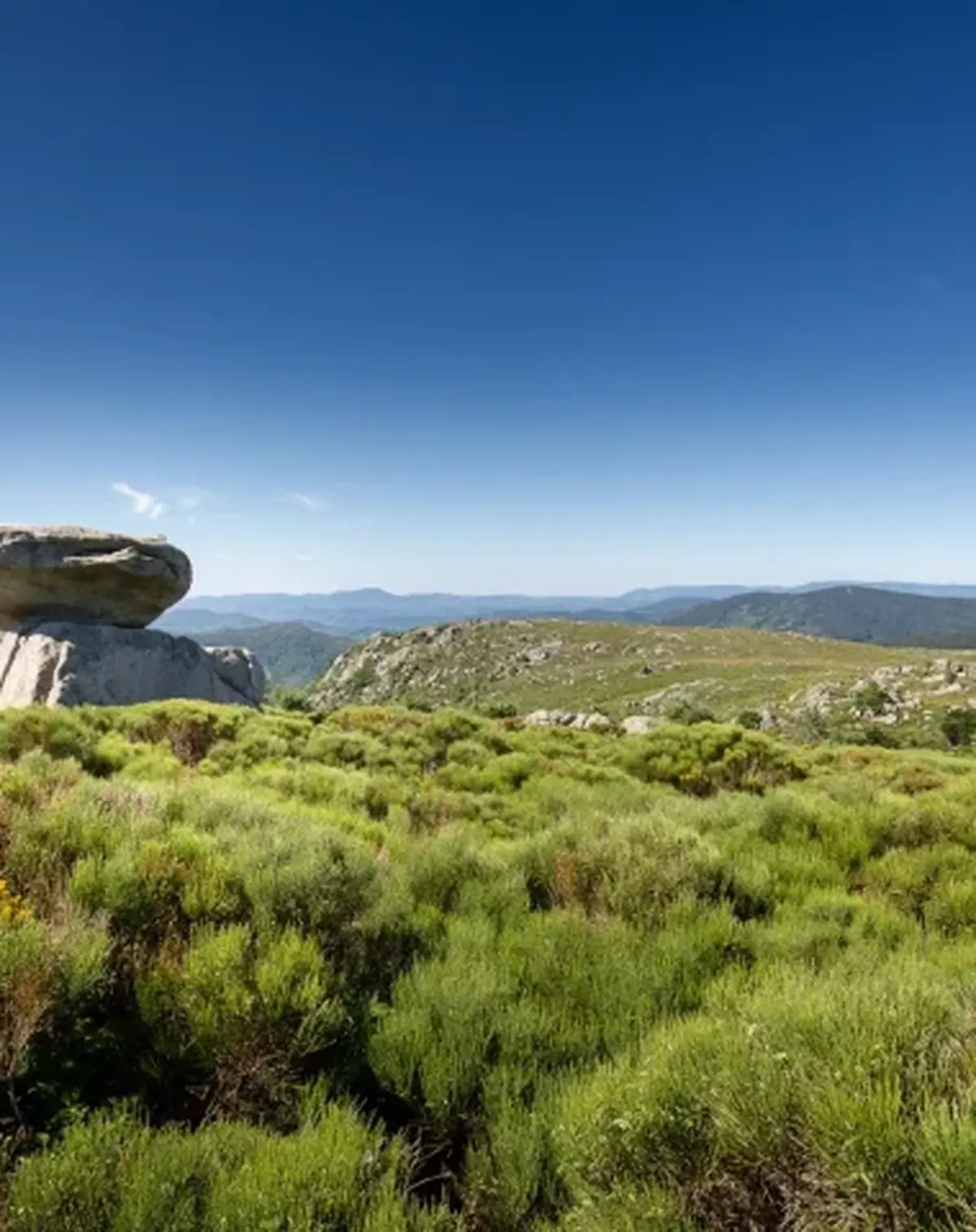Visite Express Spéciale Lozère