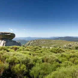 Visite Express Spéciale Lozère