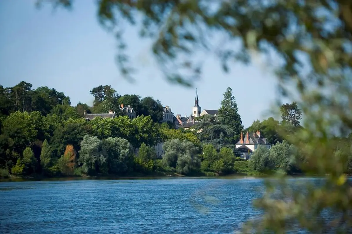 Visite famille Avion, raisin, lotus à Montlouis-sur-Loire