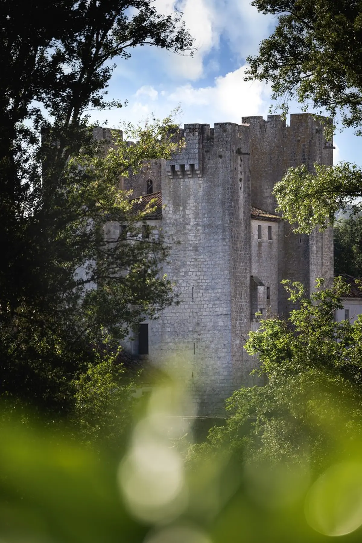 Visite famille du Moulin des Tours : à l'assaut du moulin