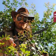 Visite Famille : Expédition Avec Tenessee Jones