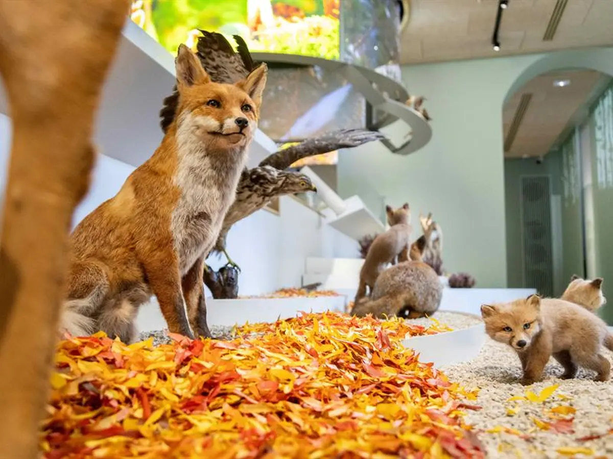 Visite familles La petite vadrouille au Pavillon