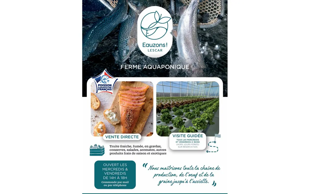 Visite Ferme Aquaponique