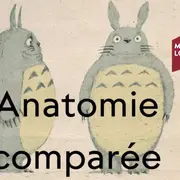 Visite « flash »